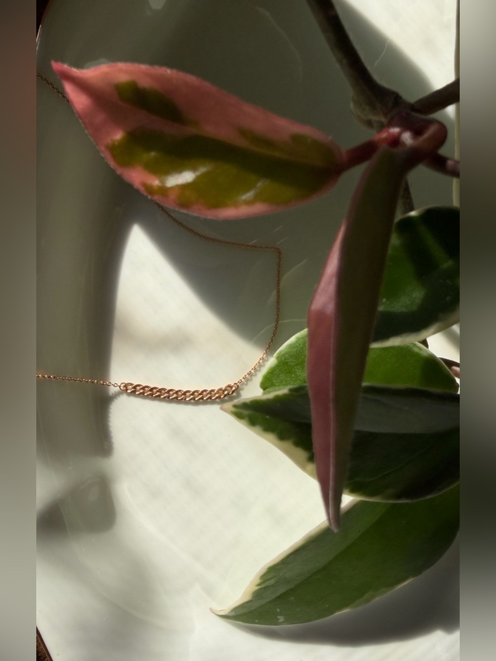 Vrai & Oro 14k Rose Gold Thin Curb Chain Necklace